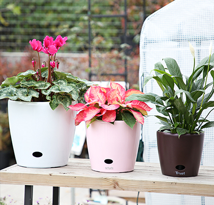 这个自动浇水花盆可以让您在度假时保持植物活力
